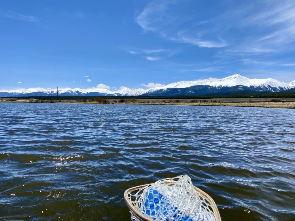 still water fly fishing