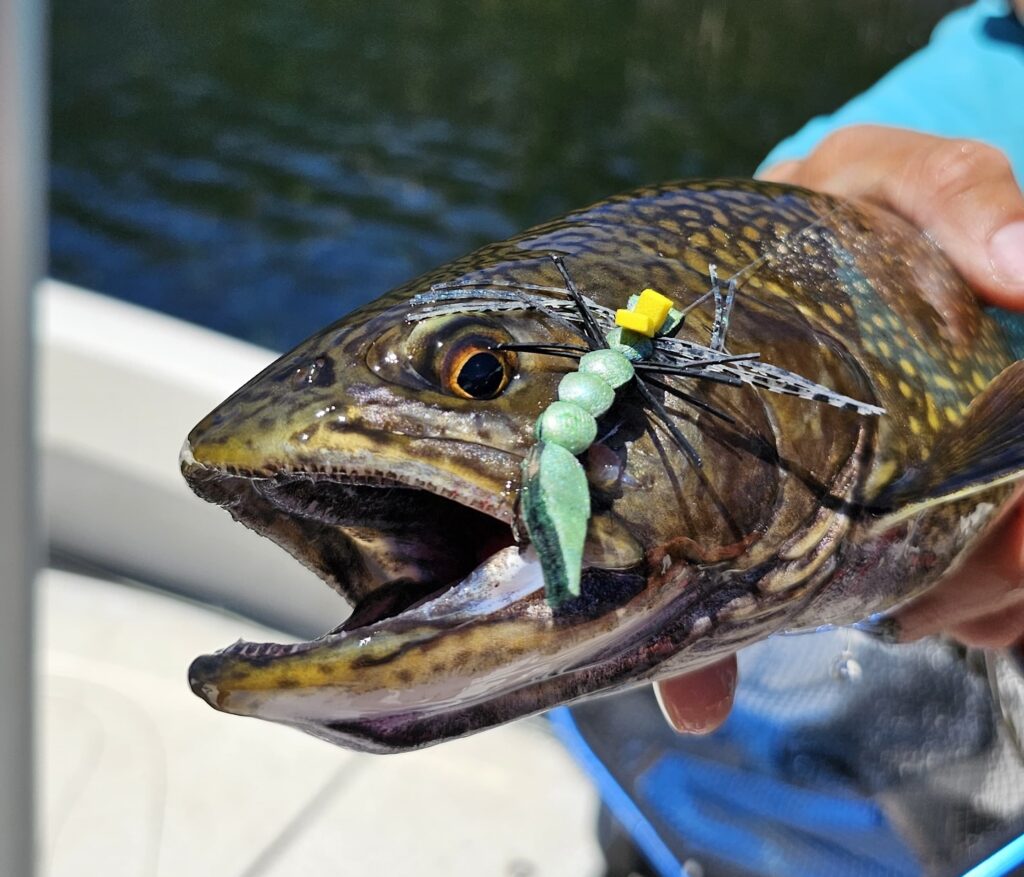 dryfly