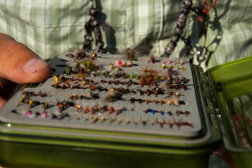 Attractor vs. Match-the-Hatch: Choosing the Right Fly for the Right Moment