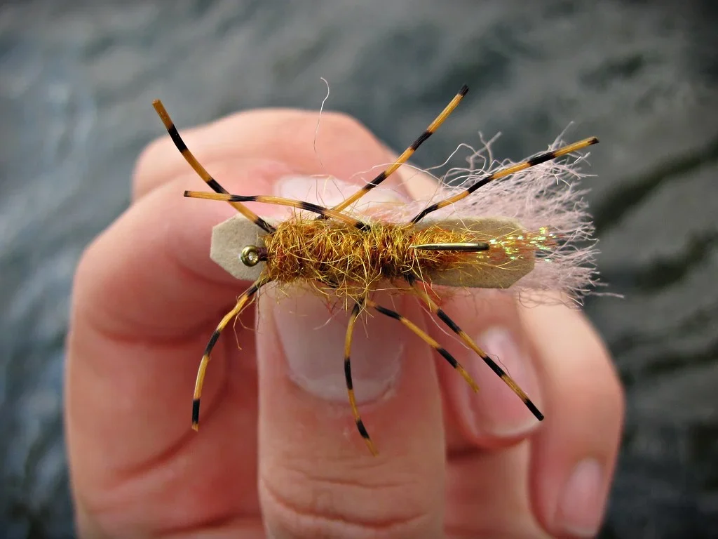 chubby chernobyl fly chubby chernobyl fly