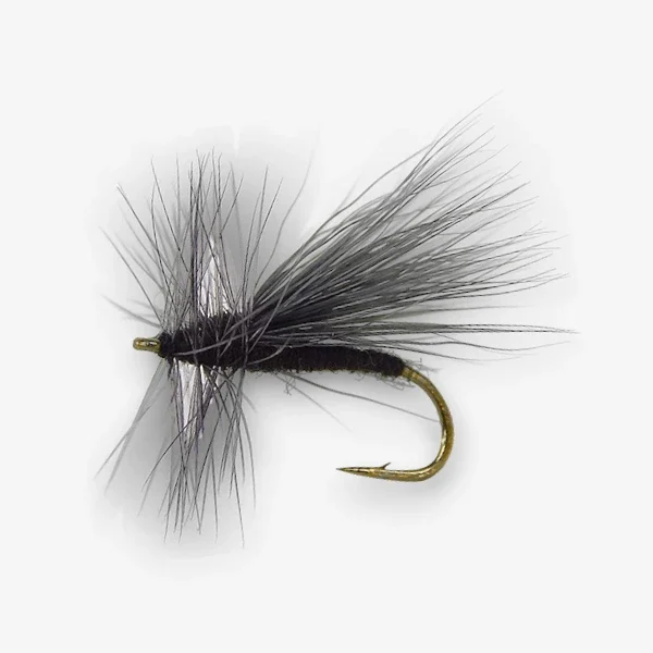 Black Winter Stonefly Black Winter Stonefly