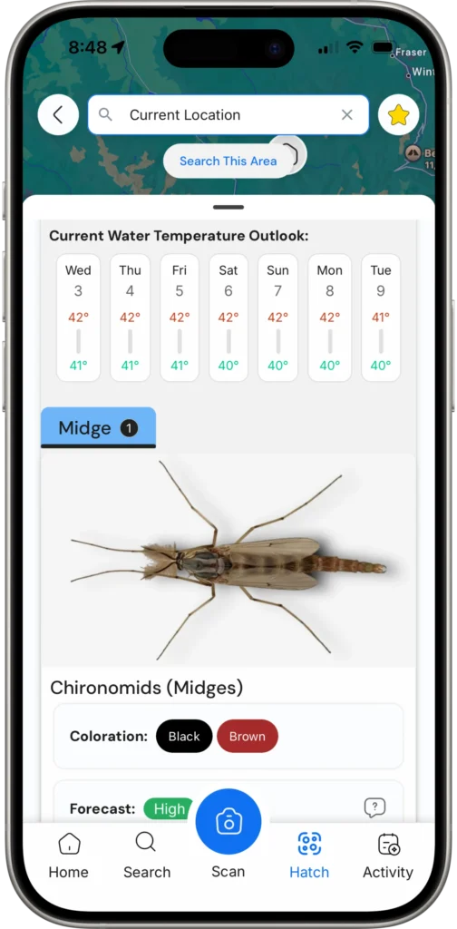hatch forecast hatch forecast