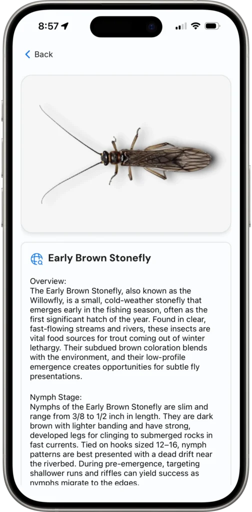 species-detail species detail