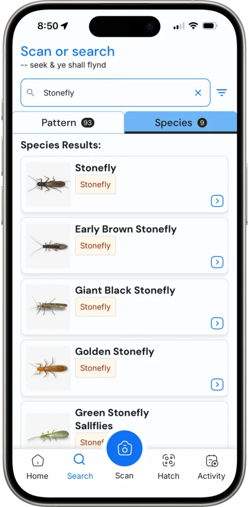 stonefly species stonefly species