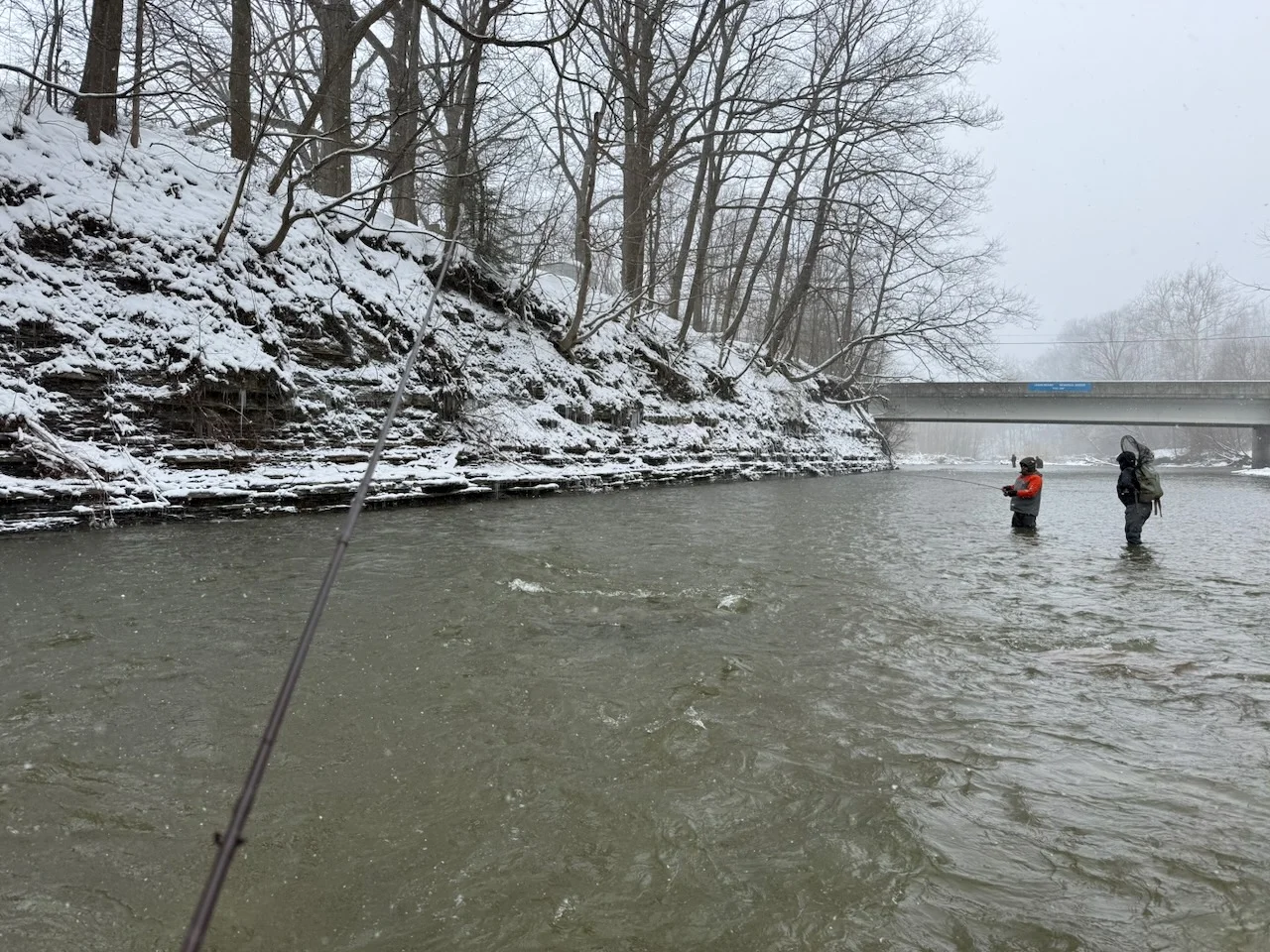 steelhead fishing conditions